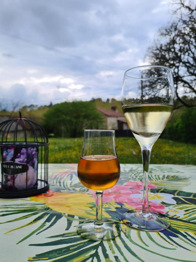 La Perle De Frayssinet-Le-Gelat - Chambre D'Hotes - B&B Kültér fotó
